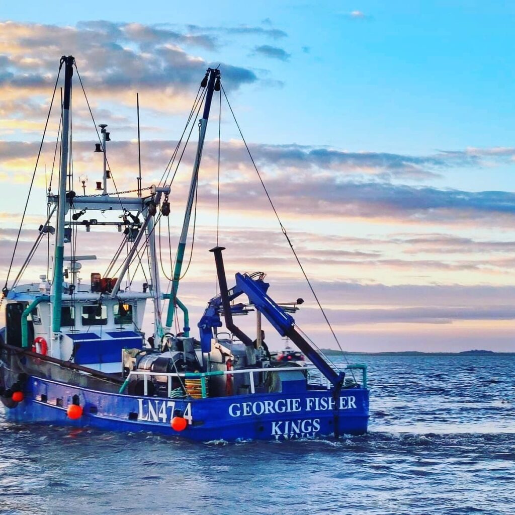 Lynn Shellfish